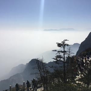 dd4黑色安装包免费
